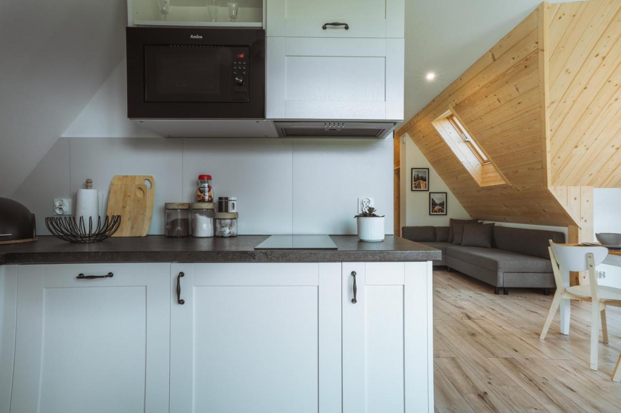 Apartamenty Widok Tatr ザコパネ エクステリア 写真
